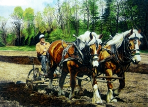 spring_plowing1a.jpg